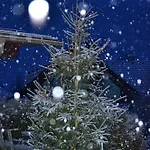 Holiday home Eden