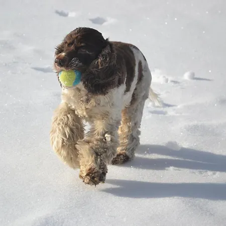 Eden Дом отдыха *