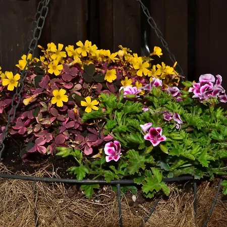 Eden בית נופש Glodnitz