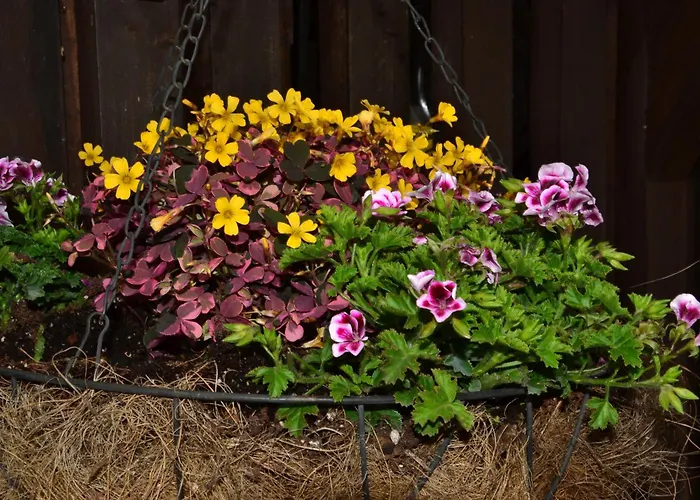 Eden 度假居 Glodnitz